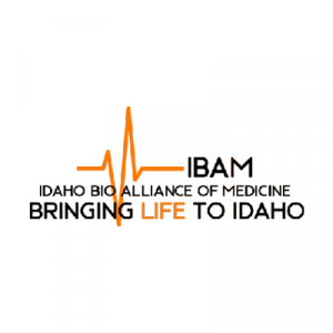 IBAM Logomark